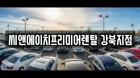 서울특별시 강북구 번동 렌트카 전문 씨앤에이치프리미어렌탈 강북지점
