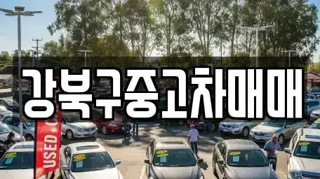 서울특별시 강북구 번동 중고차 전문 강북구중고차매매