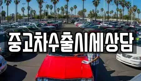 서울특별시 강북구 번동 중고차 전문 중고차수출시세상담
