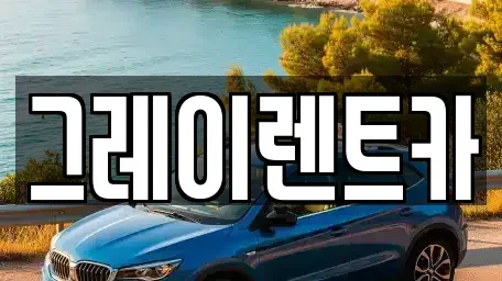 서울특별시 관악구 신림동 단기렌트카 전문 그레이렌트카