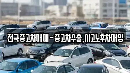 서울특별시 관악구 신림동 중고차 전문 전국중고차매매-중고차수출,사고노후차매입