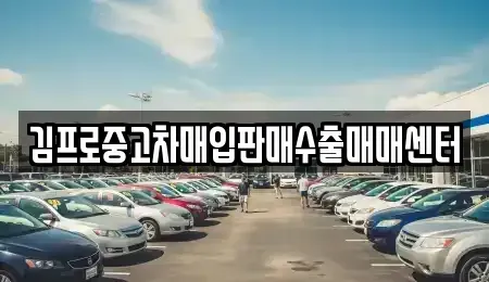 서울특별시 관악구 신림동 중고차매입 전문 김프로중고차매입판매수출매매센터