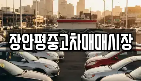 서울특별시 금천구 독산동 중고차 전문 장안평중고차매매시장