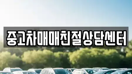 서울특별시 금천구 독산동 중고차 전문 중고차매매친절상담센터