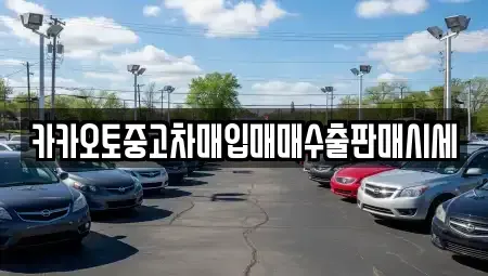 서울특별시 금천구 독산동 중고차매입 전문 카카오토중고차매입매매수출판매시세
