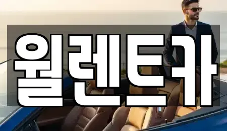 서울특별시 금천구 시흥동 렌트카 전문 월렌트카