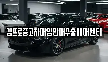 서울특별시 금천구 시흥동 중고차매입 전문 김프로중고차매입판매수출매매센터