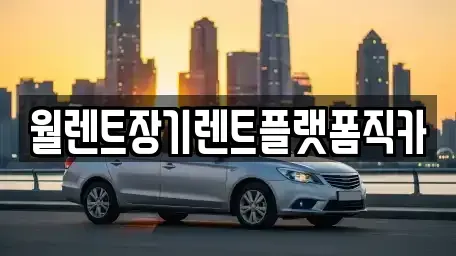 서울특별시 노원구 상계동 장기렌트카 전문 월렌트장기렌트플랫폼직카