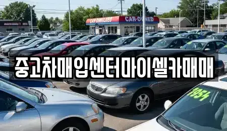 서울특별시 노원구 상계동 중고차매입 전문 중고차매입센터마이셀카매매