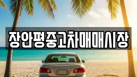 서울특별시 동대문구 전농동 중고차매매 전문 장안평중고차매매시장
