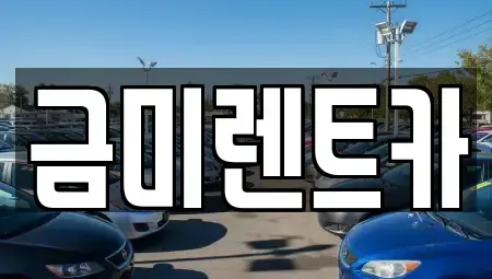 서울특별시 마포구 당인동 렌트카 전문 금미렌트카