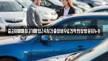 서울특별시 마포구 당인동 중고차 전문 중고차매매최고가매입24시간출장비무료견적현장방문지누카