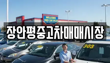 서울특별시 마포구 창전동 중고차매매 전문 장안평중고차매매시장