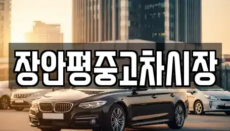 서울특별시 마포구 창전동 중고차매매,단기렌트카,중고차매입,장기렌트카,중고차,렌트카