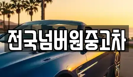 서울특별시 마포구 창전동 중고차매매 전문 전국넘버원중고차