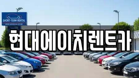 서울특별시 서초구 염곡동 렌트카 전문 현대에이치렌트카