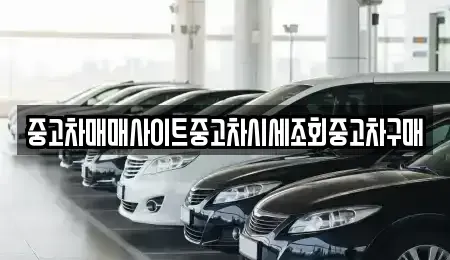 서울특별시 서초구 염곡동 중고차,렌트카,중고차매입,중고차매매,장기렌트카,단기렌트카