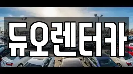 서울특별시 성동구 금호동1가 렌트카 전문 듀오렌터카