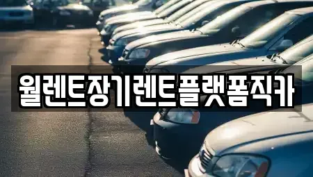 서울특별시 성동구 금호동1가 장기렌트카 전문 월렌트장기렌트플랫폼직카