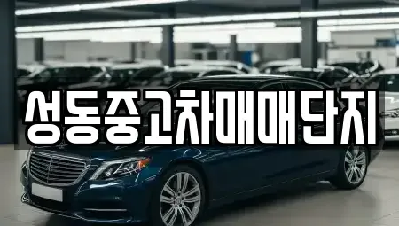 서울특별시 성동구 금호동1가 중고차 전문 성동중고차매매단지