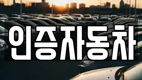 서울특별시 성동구 금호동1가 중고차 전문 인증자동차