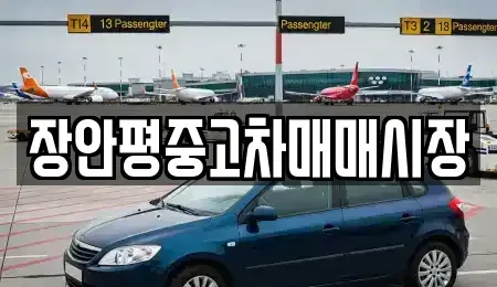 서울특별시 성동구 금호동1가 중고차 전문 장안평중고차매매시장