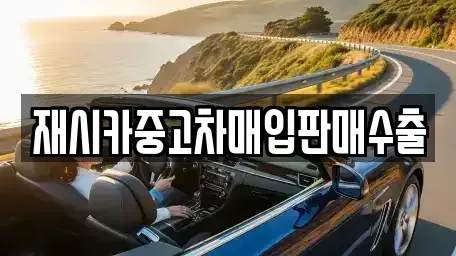 서울특별시 성동구 금호동1가 중고차 전문 재시카중고차매입판매수출