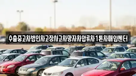 서울특별시 성동구 금호동1가 중고차매입 전문 수출중고차법인차고장사고차망자차압류차1톤차매입센터