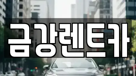 서울특별시 성북구 상월곡동 렌트카 전문 금강렌트카
