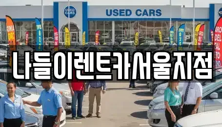 서울특별시 성북구 상월곡동 렌트카 전문 나들이렌트카서울지점
