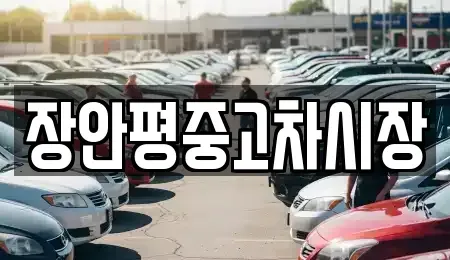 서울특별시 성북구 상월곡동 중고차 전문 장안평중고차시장