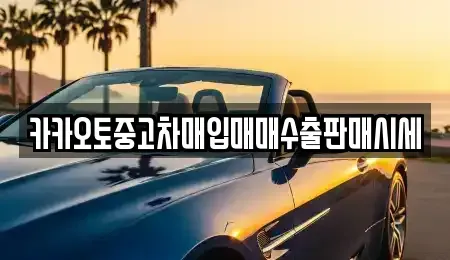 서울특별시 성북구 상월곡동 중고차매입 전문 카카오토중고차매입매매수출판매시세