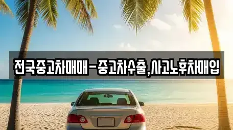 서울특별시 영등포구 문래동3가 중고차매매 전문 전국중고차매매-중고차수출,사고노후차매입