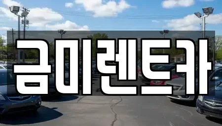 서울특별시 영등포구 양평동3가 렌트카 전문 금미렌트카