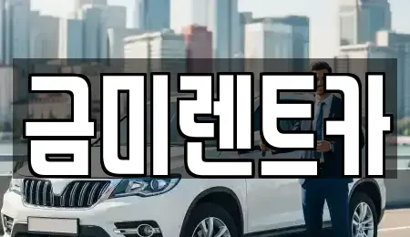 서울특별시 영등포구 양평동3가 렌트카 전문 금미렌트카