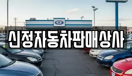 서울특별시 영등포구 양평동3가 중고차 전문 신정자동차판매상사