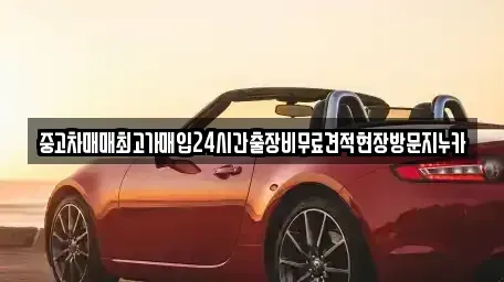 서울특별시 영등포구 양평동3가 중고차 전문 중고차매매최고가매입24시간출장비무료견적현장방문지누카