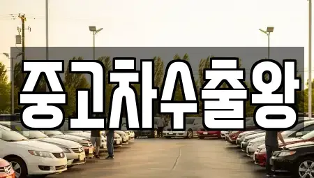 서울특별시 영등포구 양평동3가 중고차 전문 중고차수출왕