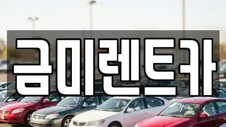 서울특별시 영등포구 영등포동5가 렌트카 전문 금미렌트카