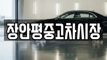 서울특별시 영등포구 영등포동5가 중고차매매 전문 장안평중고차시장