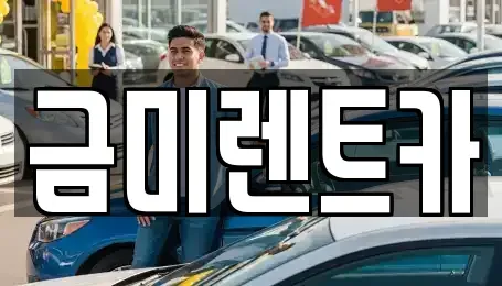 서울특별시 영등포구 영등포동7가 렌트카 전문 금미렌트카