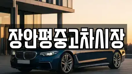 서울특별시 영등포구 영등포동7가 중고차매매 전문 장안평중고차시장
