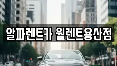 서울특별시 용산구 문배동 렌트카 전문 알파렌트카 월렌트용산점
