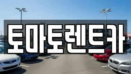서울특별시 용산구 이촌동 렌트카 전문 토마토렌트카