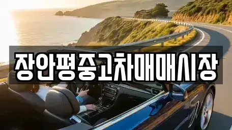 서울특별시 용산구 이촌동 중고차 전문 장안평중고차매매시장