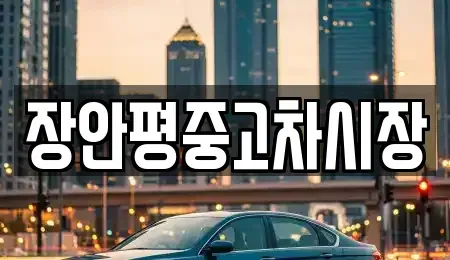 서울특별시 용산구 이촌동 중고차 전문 장안평중고차시장