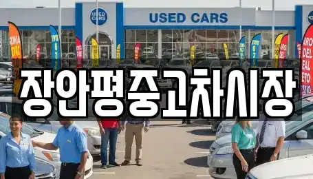 서울특별시 용산구 주성동 중고차 전문 장안평중고차시장