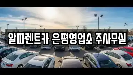 서울특별시 은평구 불광동 렌트카 전문 알파렌트카 은평영업소 주사무실