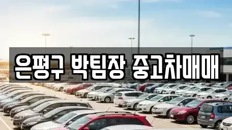서울특별시 은평구 불광동 중고차 전문 은평구 박팀장 중고차매매