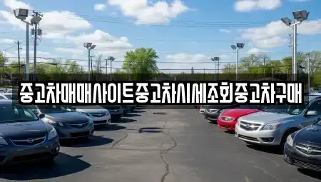 서울특별시 은평구 불광동 중고차 전문 중고차매매사이트중고차시세조회중고차구매